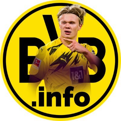 Rumours🗣| Match coverage📲| Personal opinion👦🏻 …and more about Borussia Dortmund. 🖤💛 #EchteLiebe #HejaBVB Follow me! 👈🏻😃