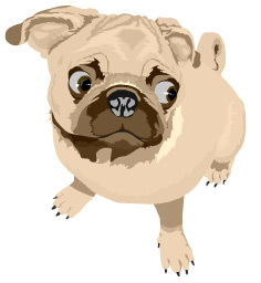 drunov_ru's profile picture. Другие новости на drunov.ru
новости и статьи без политики и негатива