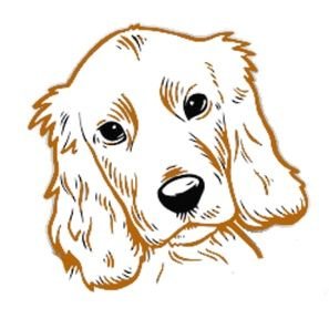 happydoggoUK's profile picture. https://t.co/rzu4D1ONG6