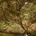 Chloe Field - @ChloWillow - Twitter