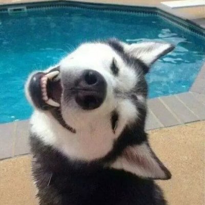 AmarthGulさんのプロフィール画像