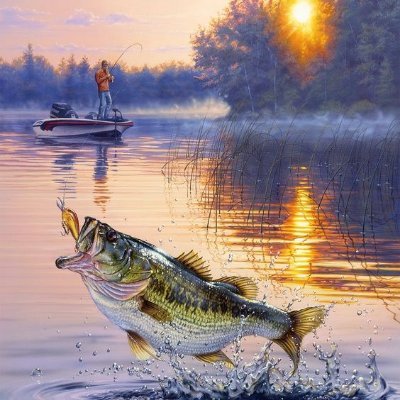 Call all Fishing Lovers. 🐟
We post for fun daily.
Please follow to enjoy.! 🎣