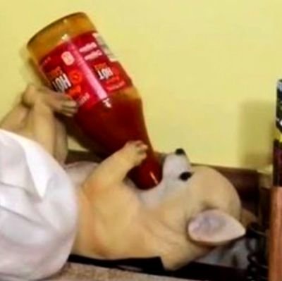 BNFernation's profile picture. my wee wee goes from A-Z on the keyboard