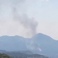 _ (@portal_online_) 's Twitter Profile Photo