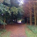 David Bergin - @Tuffoffthetrack - Twitter