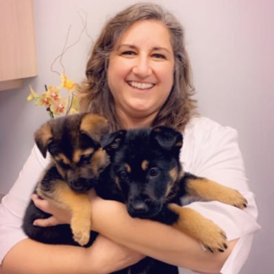 DrNosotti's profile picture. Clinique vétérinaire Mobile Plus Inc.