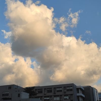 zhc91061404's profile picture. zhc