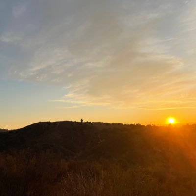 quip_fish's profile picture. 