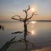 Dead Tree of Liberty (@stirssumup) Twitter profile photo Dead Tree of Liberty (@stirssumup) Twitter profile photo