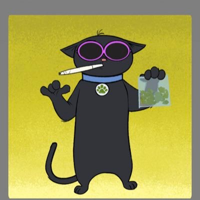 Bebito_Grifo's profile picture. Space City, Tx