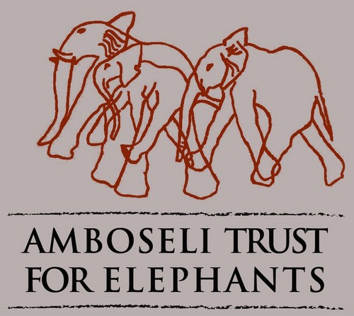 The Amboseli Trust for Elephants conducts the longest-running research project on wild elephants in the world. We strive to conserve these magnificent animals.
