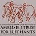 Amboseli Trust for Elephants (@ElephantTrust) Twitter profile photo
