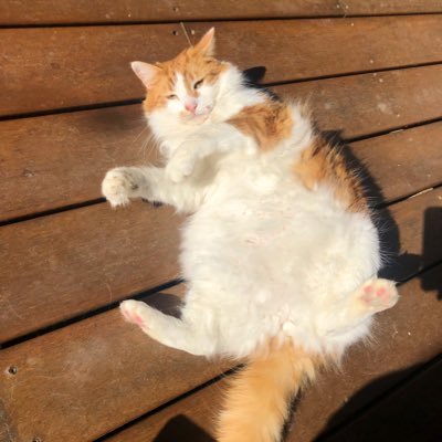 LV66470214's profile picture. 