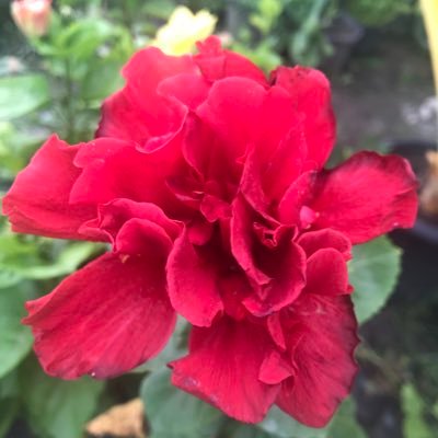 utaen191's profile picture. 