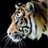ClubArdmore's profile image