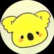 望月こあらさんのプロフィール画像