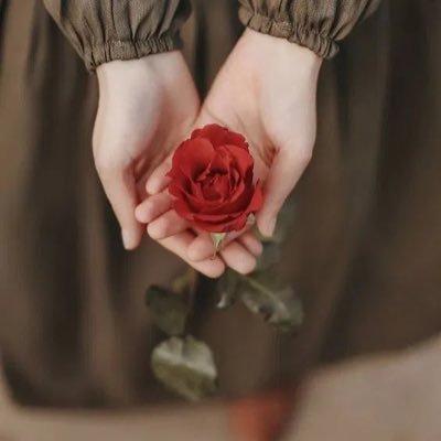 amertalehsaas's profile picture. ثقتي بربي انه لن يخذلني ..مهما سائت الاقدار !!! jazan♡