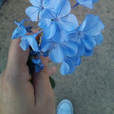 foemaa_'s profile picture. No need to find out about me