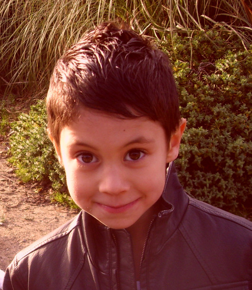 catcircle's profile picture. I'm an 8 year old boy, I love cats and have started my own social network for people who want to talk, learn or teach others about cats. http://t.co/X39L2VRBdf