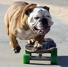 I Skate, I love, I love 2 skate.