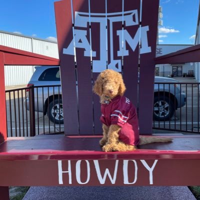 yvcanamar's profile picture. 