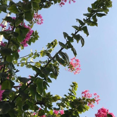 اللهم صلِّ وسلم على نبينا محمد ، حسابي @_Ghaaida2 ✨