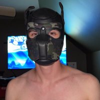 Pup Chief (@pup_chief) 's Twitter Profile