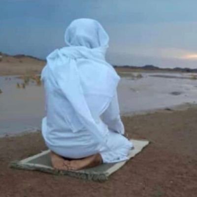 ff15ff69's profile picture. 