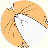 okojo (@okooooojo) 's Twitter Profile Photo okojo (@okooooojo) 's Twitter Profile Photo