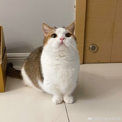 00后一枚，最喜欢买周边，嘿嘿～