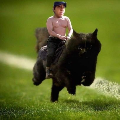 0marNajera's profile picture. Hacer una buena obra es como mearte llevando pantalones negros: te da calorcito y nadie se entera.