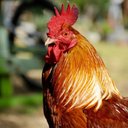 Brady Turner - @BradyTu78698161 - Twitter