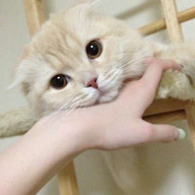 くましーさんのプロフィール画像