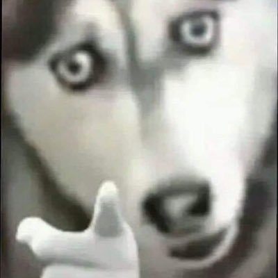 AriAriさんのプロフィール画像