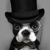 Not a Pinko (@dogscantwhistle) Twitter profile photo Not a Pinko (@dogscantwhistle) Twitter profile photo