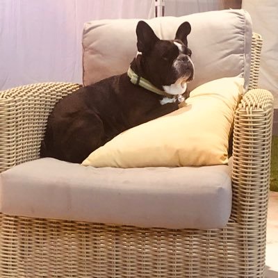 osi0107's profile picture. 