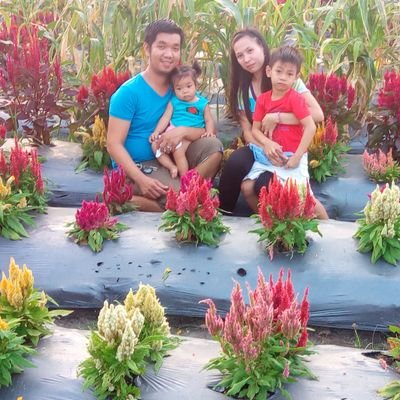 Reggie91269148's profile picture. pc / mobile gamer