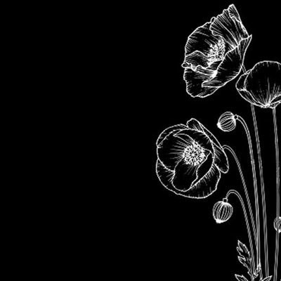 kr_1123_'s profile picture. 関西住みの19 勉強垢兼日常垢