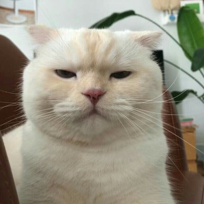 nanny_nanny242's profile picture. 🌷