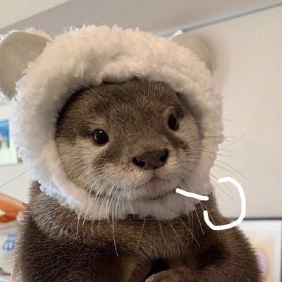 Bobcatさんのプロフィール画像