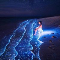 Win Soe (@winsoengaminyee) 's Twitter Profile