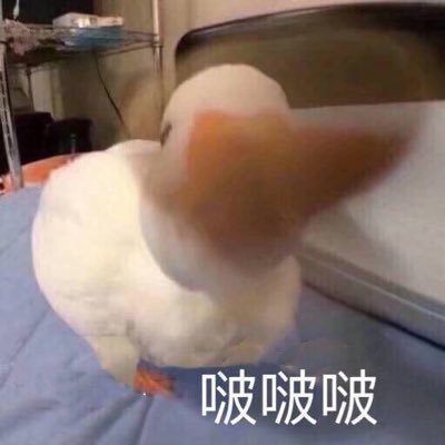 XNnnNno's profile picture. 