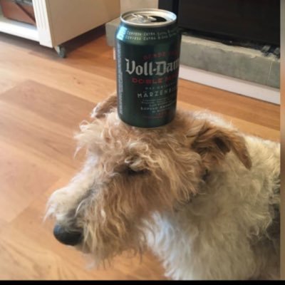 stocks_dogs's profile picture. Continuosly learning