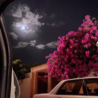 🕯 (@1la1_1) 's Twitter Profile