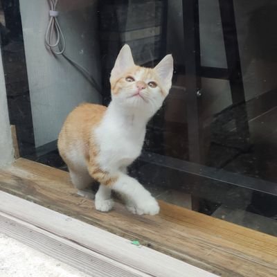 mao03220's profile picture. 