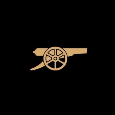 Arsenal fan for life! Make arsenal great again🔴⚪️🔴⚪️ #WeCareDoYou
