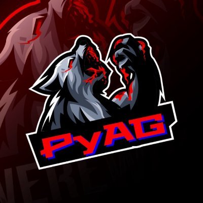 PyAG, CoD, eSports JPN Amateur Team #PyAG #PyAGWIN