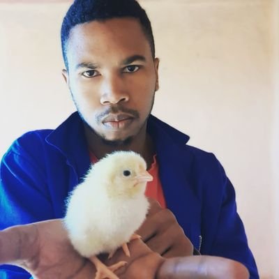 TabileNgongolo's profile picture. student at Cput, business man and poultry farmer.