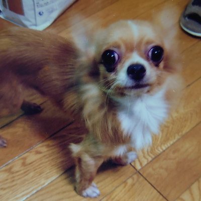 kroopy0309's profile picture. 