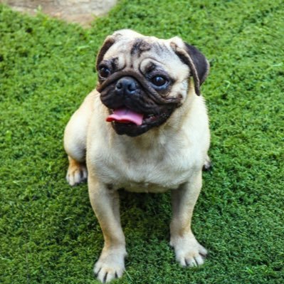 kelvinmaclean_'s profile picture. DISCRETE || I LOVE MOVIES AND GAMING ||CREATIVE DIRECTOR OF @OUTLAWPHILMZ🎬🎥...